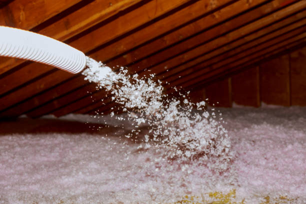 Best Insulation Replacement Services  in South Creek, WA